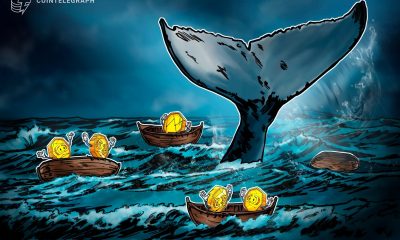 Do Bitcoin Whales Really Control Market Ups and Downs?