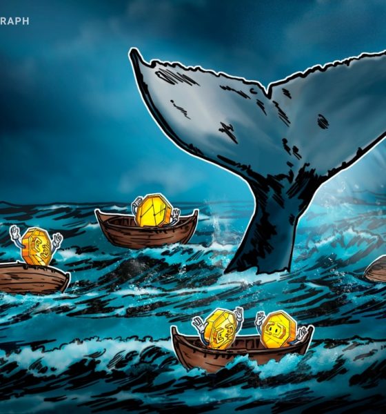 Do Bitcoin Whales Really Control Market Ups and Downs?