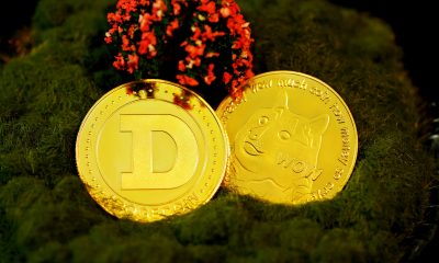 Dogecoin Whales Quietly Accumulate 327 Million Coins — What’s Coming Next?