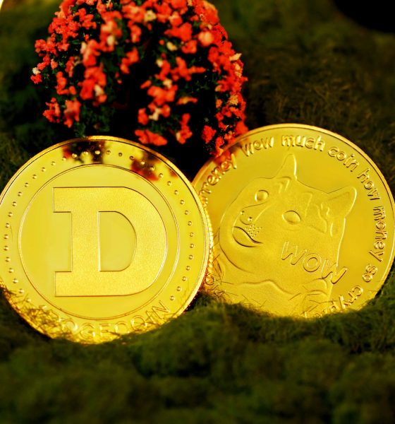 Dogecoin Whales Quietly Accumulate 327 Million Coins — What’s Coming Next?