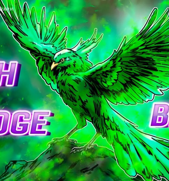 ETH, BNB, DOGE Lead Crypto Market Recovery