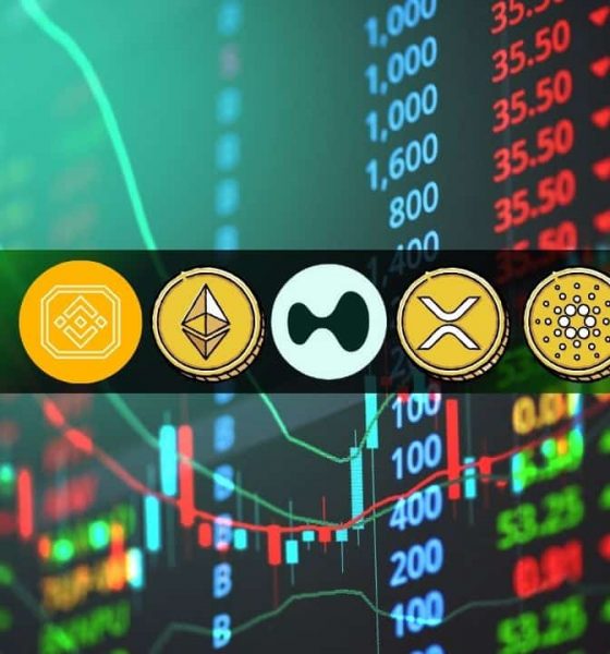 ETH, XRP, ADA, BNB, and HYPE