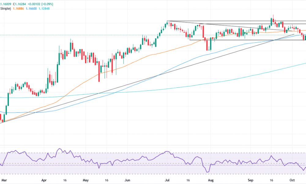 EUR/USD hovers at 1.1600 as muted CPI data fails to alter Fed stance