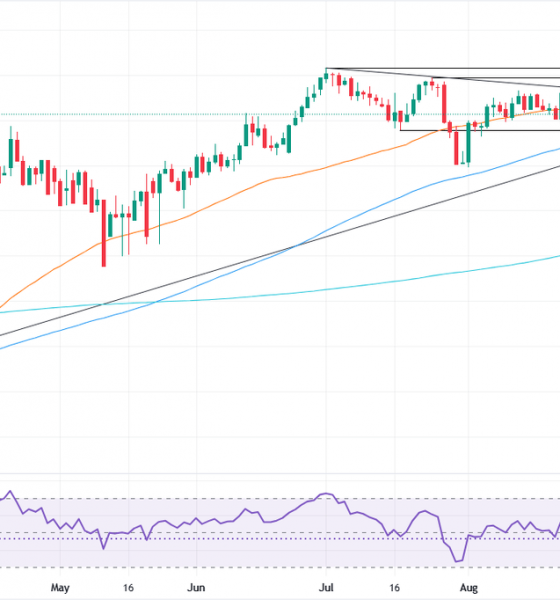 EUR/USD hovers at 1.1600 as muted CPI data fails to alter Fed stance