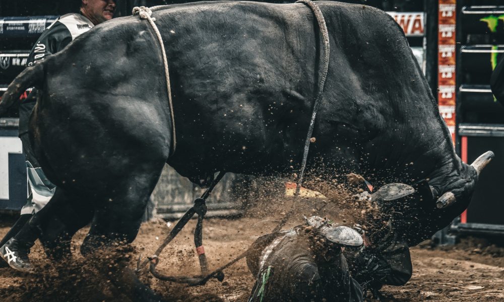 Ethereum Beware — Analyst Says XRP’s Next Bull Run Could Be Deadly