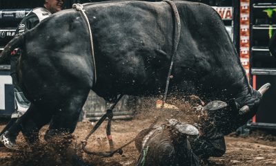 Ethereum Beware — Analyst Says XRP’s Next Bull Run Could Be Deadly