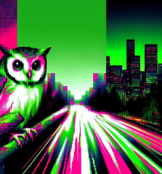 Moonbirds to Launch BIRB Token on Solana Amid NFT Resurgence