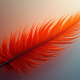 Plume Surges