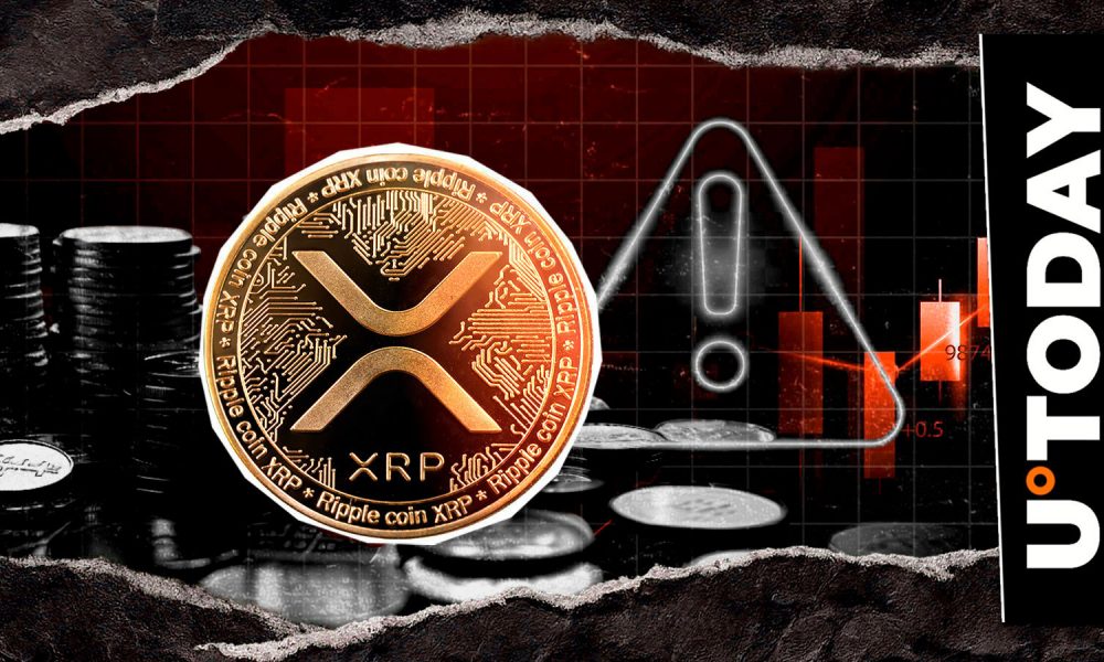 'Protect Your XRP': Analyst Issues Warning to Crypto Community