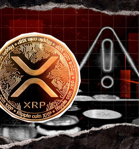 'Protect Your XRP': Analyst Issues Warning to Crypto Community