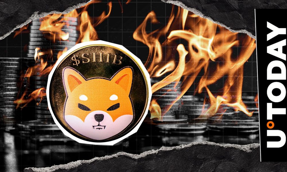 Shiba Inu Burn Rate Crashes 99% as Crypto Sees Largest Liquidation Event Ever