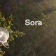 Sora 2 update: OpenAI lets all users create 15-second videos, Pro users up to 25 seconds