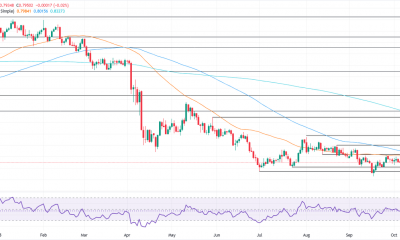 USD/CHF daily chart