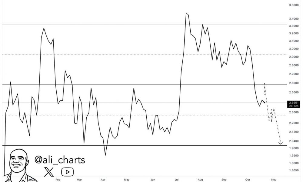 What's Next for Ripple's Price as Whales Start an XRP Sell-Off