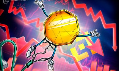 Why Did Some Altcoins on Binance Crash to Zero?