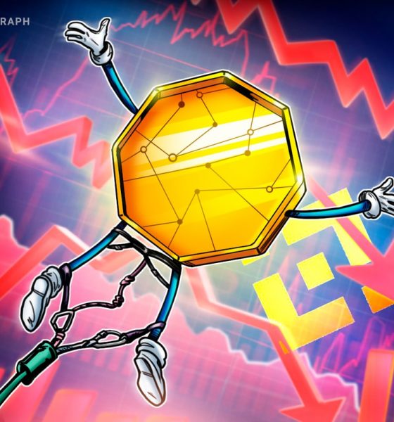 Why Did Some Altcoins on Binance Crash to Zero?