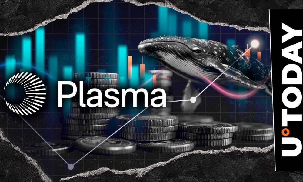 XPL, Not XRP: Why Are Whales Shoveling Ripple's Rival?