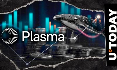 XPL, Not XRP: Why Are Whales Shoveling Ripple's Rival?
