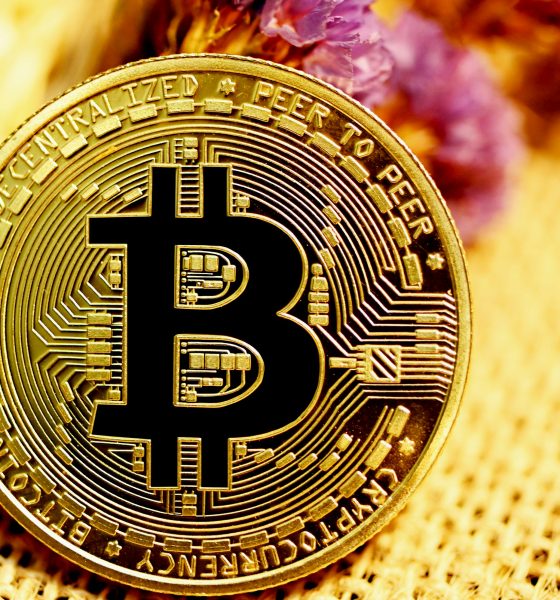 Bitcoin Dominance Signals The Crypto Bull Remains Active