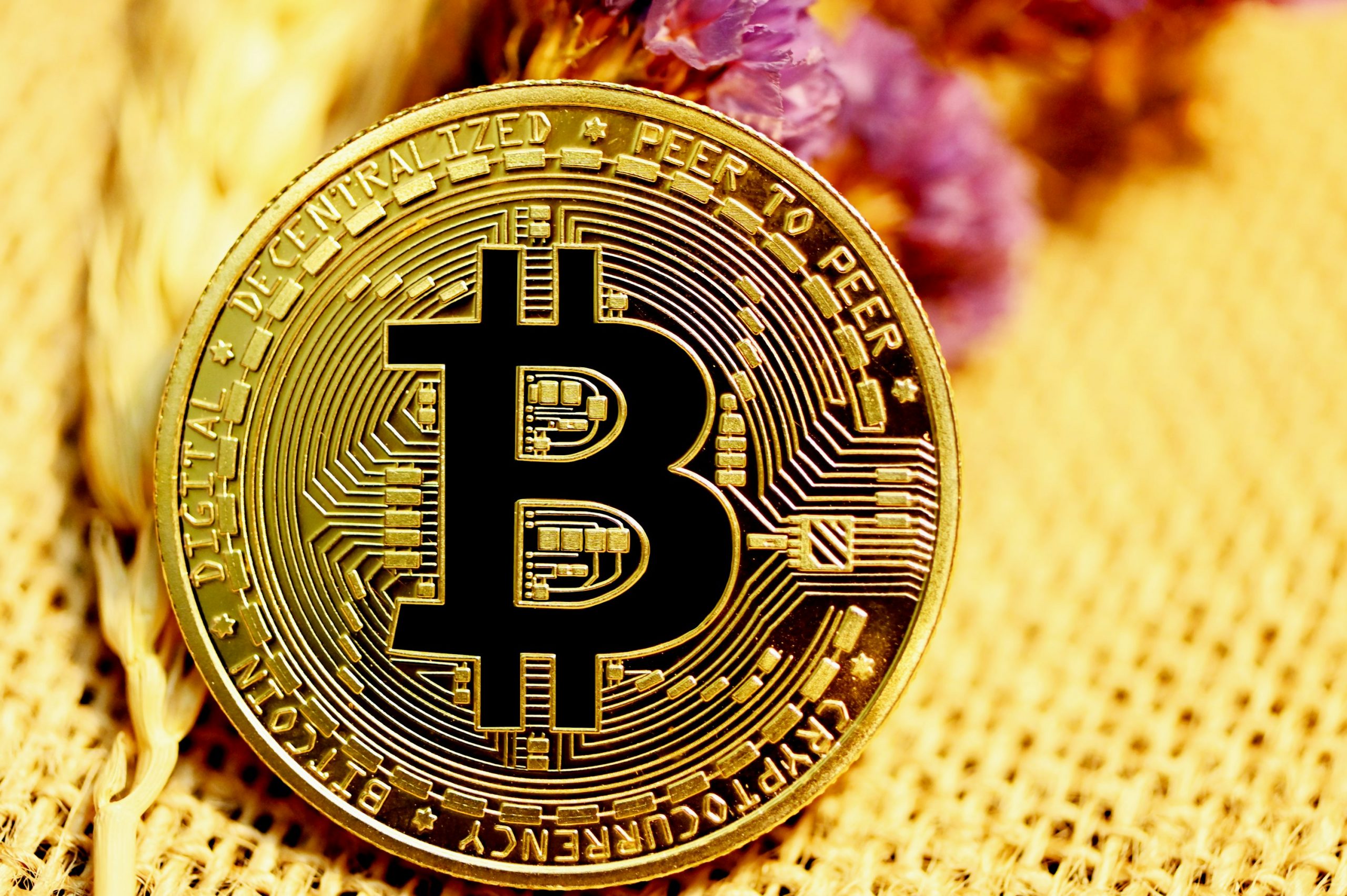 Bitcoin Dominance Signals The Crypto Bull Remains Active