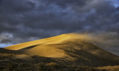 Bitcoin Slide Shakes Crypto World