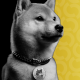 Bitwise Dogecoin ETF Debut Imminent After Quiet Start for Grayscale DOGE Fund