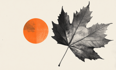 CAD slips through 1.41 – Scotiabank