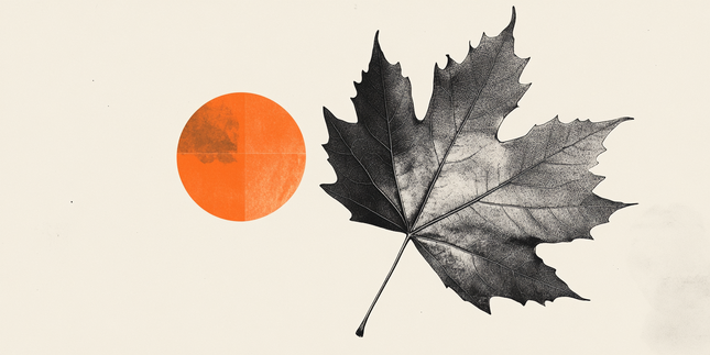 CAD slips through 1.41 – Scotiabank