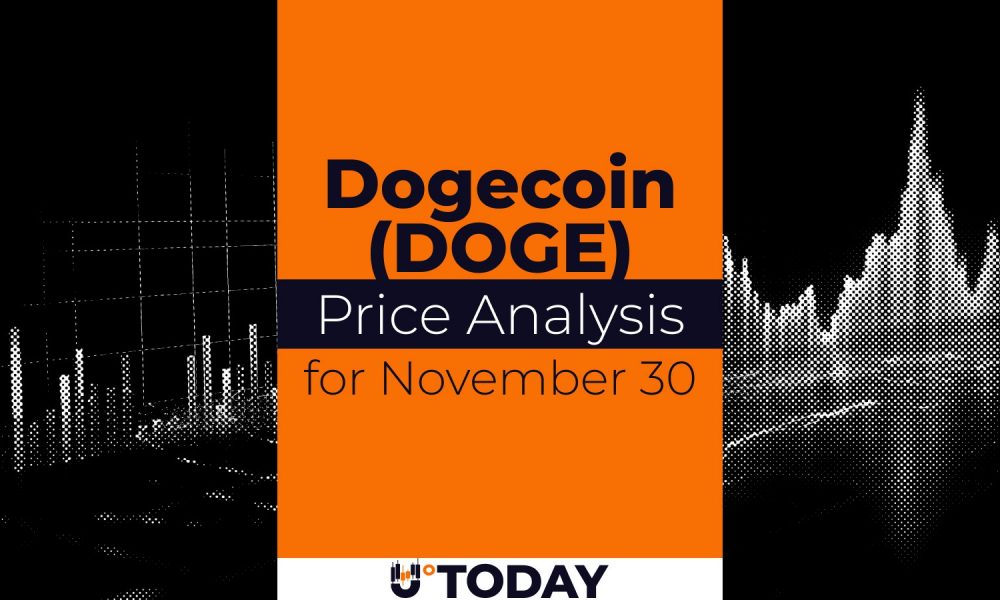 DOGE Price Analysis for November 30