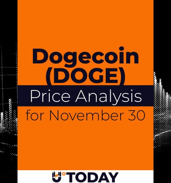 DOGE Price Analysis for November 30