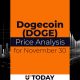 DOGE Price Analysis for November 30