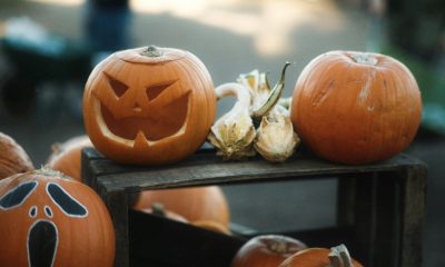 Get Ready, The End Of November Will Be Massive For XRP: CEO