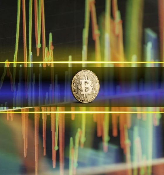 Is the Market Finally Learning to Handle Volatility?