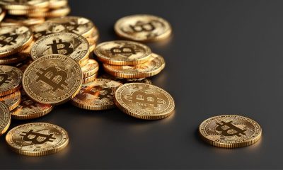 Many Crypto Treasury Companies Were a Get-Rich-Quick Trap, Warns Columbia Professor