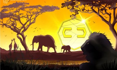 South Africa Central Bank Finds No Urgent Need for CBDC