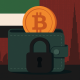 UAE makes Bitcoin wallets a crime risk in global tech crackdown
