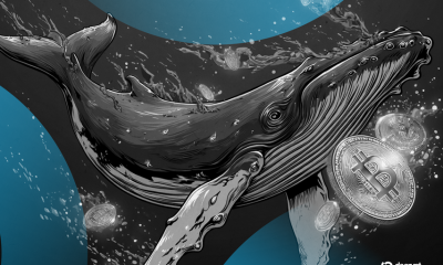 'We Fucked Up': MEXC Exec Promises Changes After Blowup Over Frozen Crypto Millions