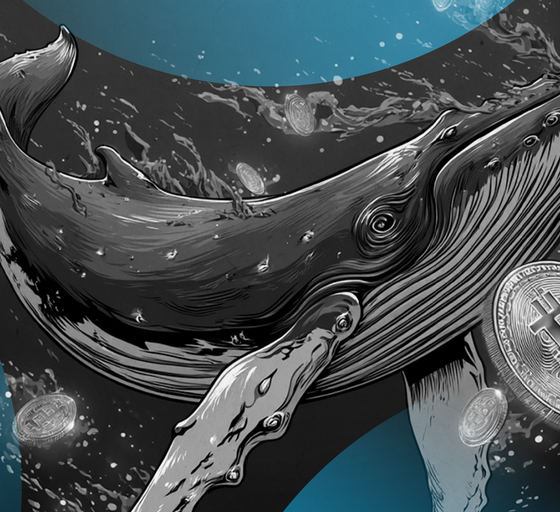 'We Fucked Up': MEXC Exec Promises Changes After Blowup Over Frozen Crypto Millions