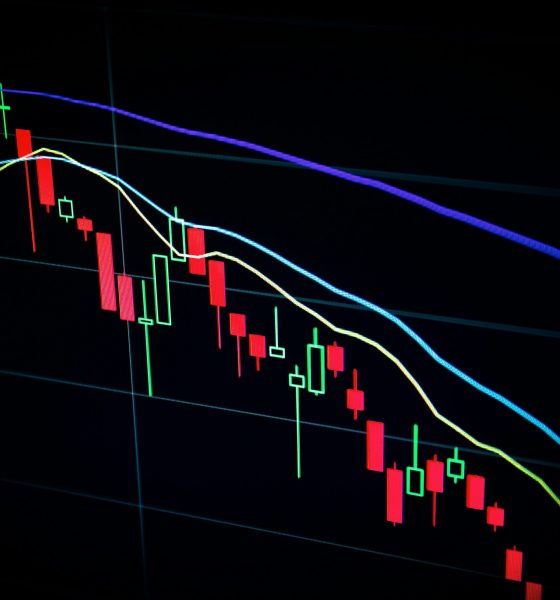 What’s Going On Behind The Scenes With XRP? Expert Answers