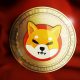 Will The Shiba Inu Price Hit A New All-Time High In 2025? Machine Learning Algorithm Answers