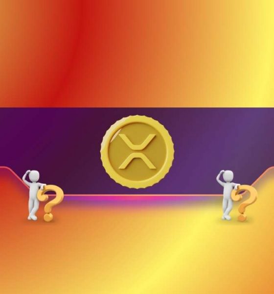 XRP’s Big Moment? Why Nov. 13 Could Be the Day Ripple Investors Have Waited For