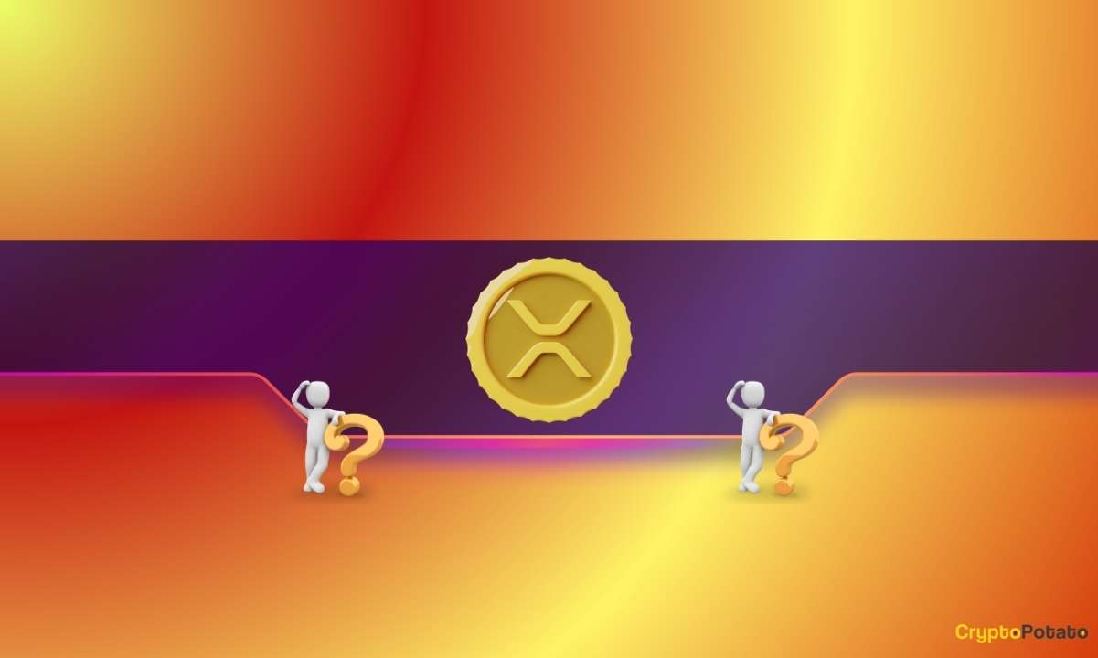 XRP’s Big Moment? Why Nov. 13 Could Be the Day Ripple Investors Have Waited For