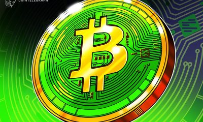 Bitcoin Cash Becomes Year’s Best-Performing L1 With 40% Gain