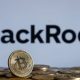 BlackRock Exec Says Bitcoin ETFs Becoming A Major Revenue Source Was A ‘Big Surprise’