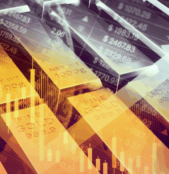 Gold and silver won 2025