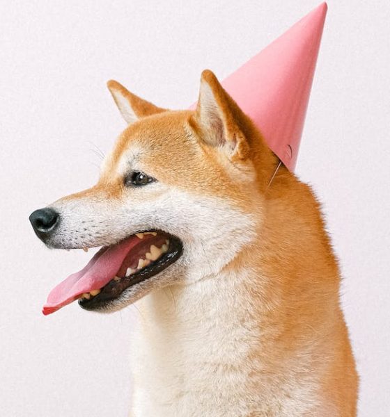 King Of Meme Coin Marks 12th Birthday In Rough Markets