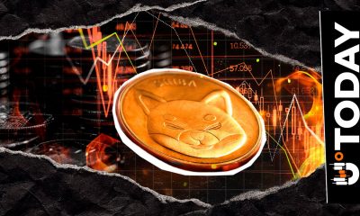 SHIB Burn Collapses 88.07% Ahead of Crucial December Update: Details