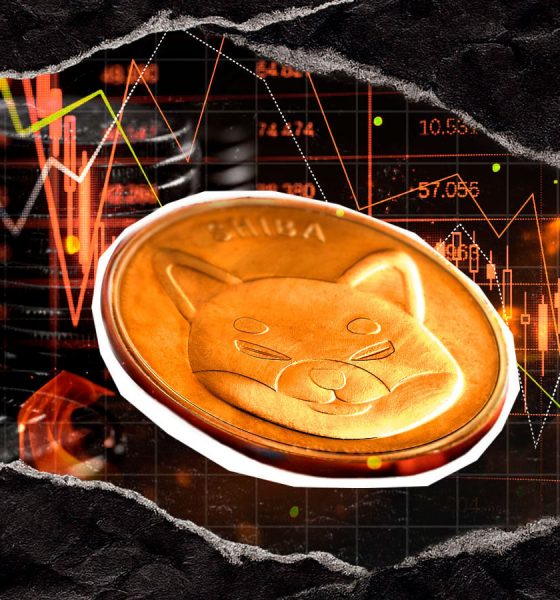 SHIB Burn Collapses 88.07% Ahead of Crucial December Update: Details