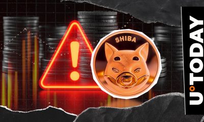 SHIB Exec Calls FBI, RCMP and Interpol to Action on Surging Cyber Attacks