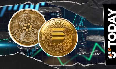 'Time to Get Cooking': Cardano and Solana Founders Tease Cross-Chain Bridge